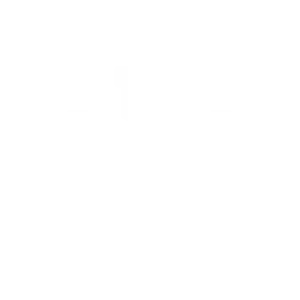 Karburator & Indsugning