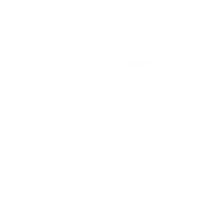 Karburator Løsdele