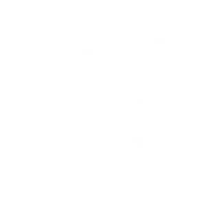 Lygter & Pærer