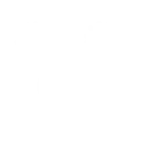 Motor & Geardele
