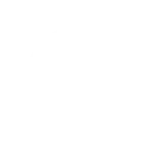 Speedometer & Cockpit