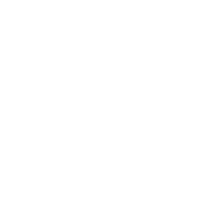 Tændrør & Tændrørshætter