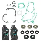 Motor reparationssæt - Puch Maxi 2 gear