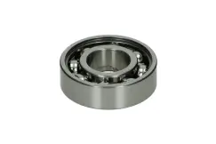 Leje 6005, SKF - 