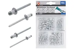 Popnitte sortiment 100 dele, BGS Technic - 