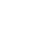 category-icon