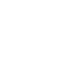 category-icon