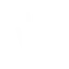 category-icon