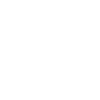 category-icon