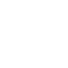 category-icon
